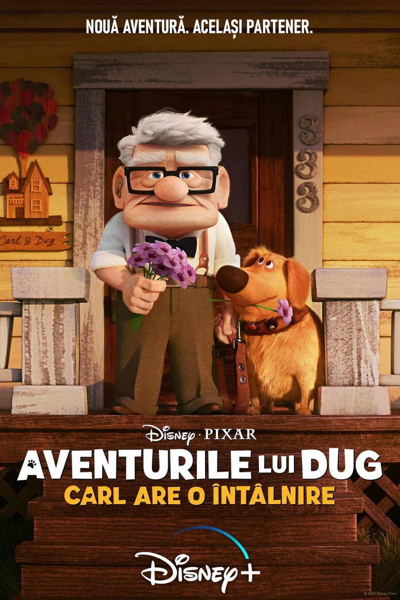 Ảnh poster
