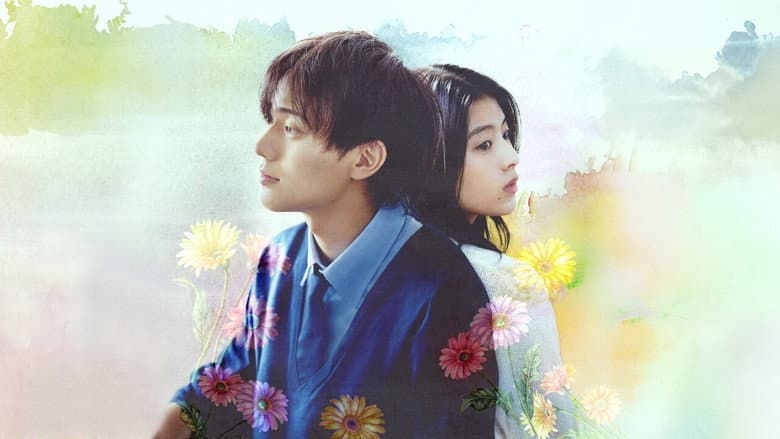 Ảnh backdrop