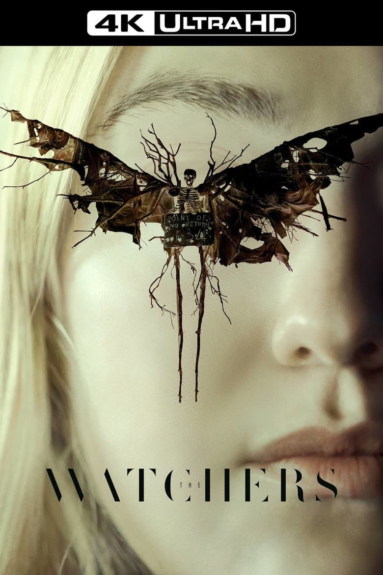 Ảnh poster