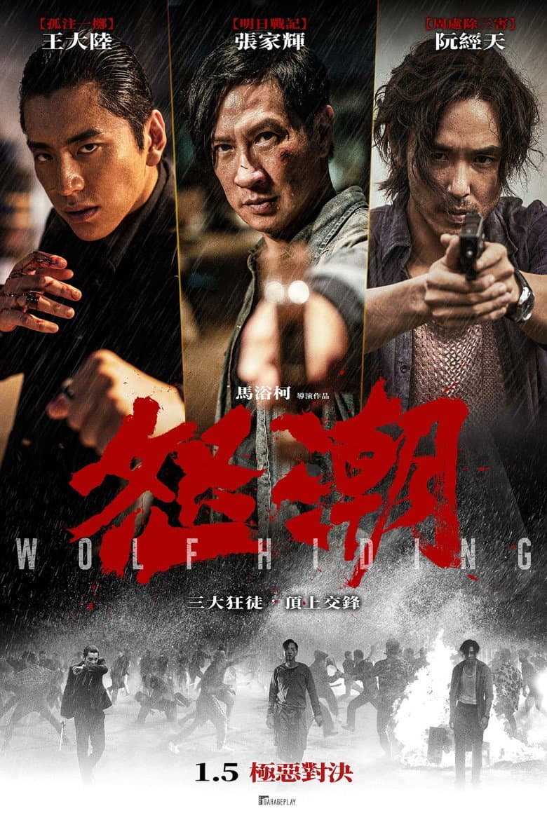 Ảnh poster