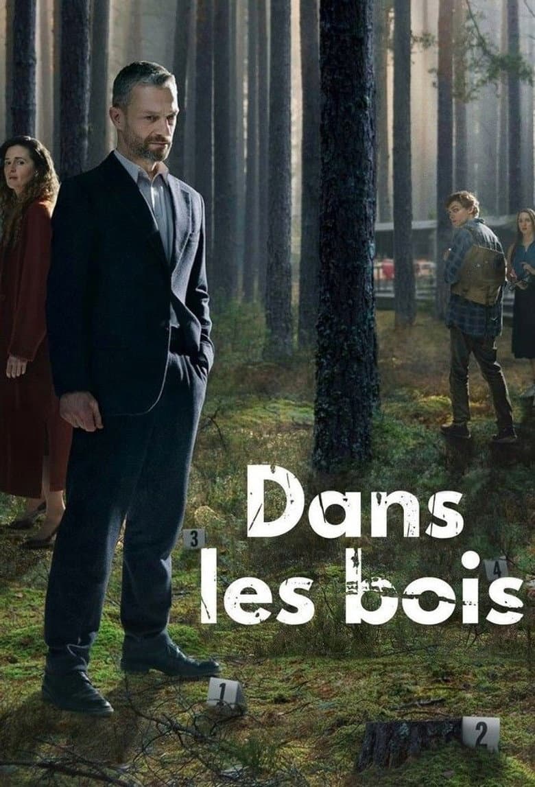 Ảnh poster