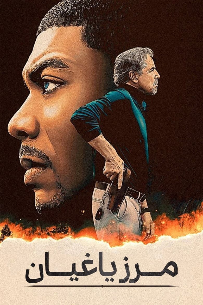 Ảnh poster
