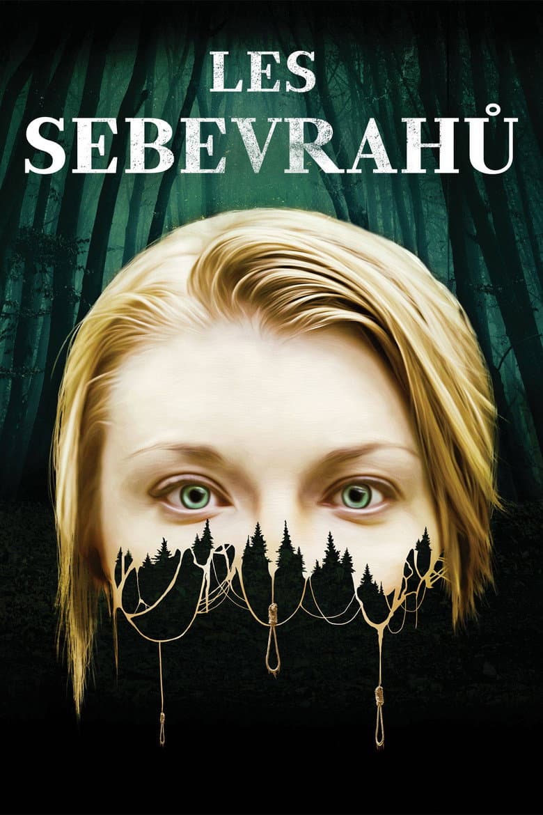 Ảnh poster