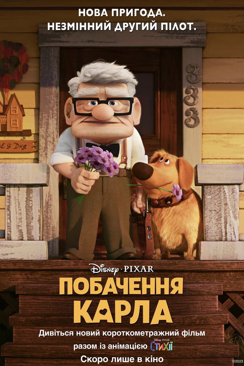 Ảnh poster