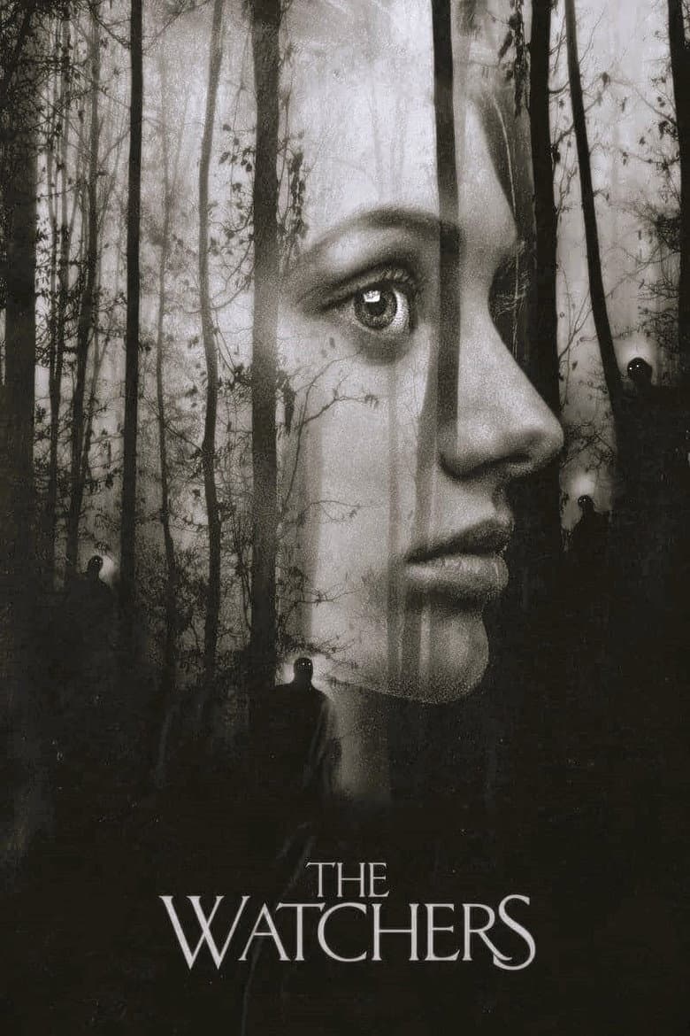 Ảnh poster