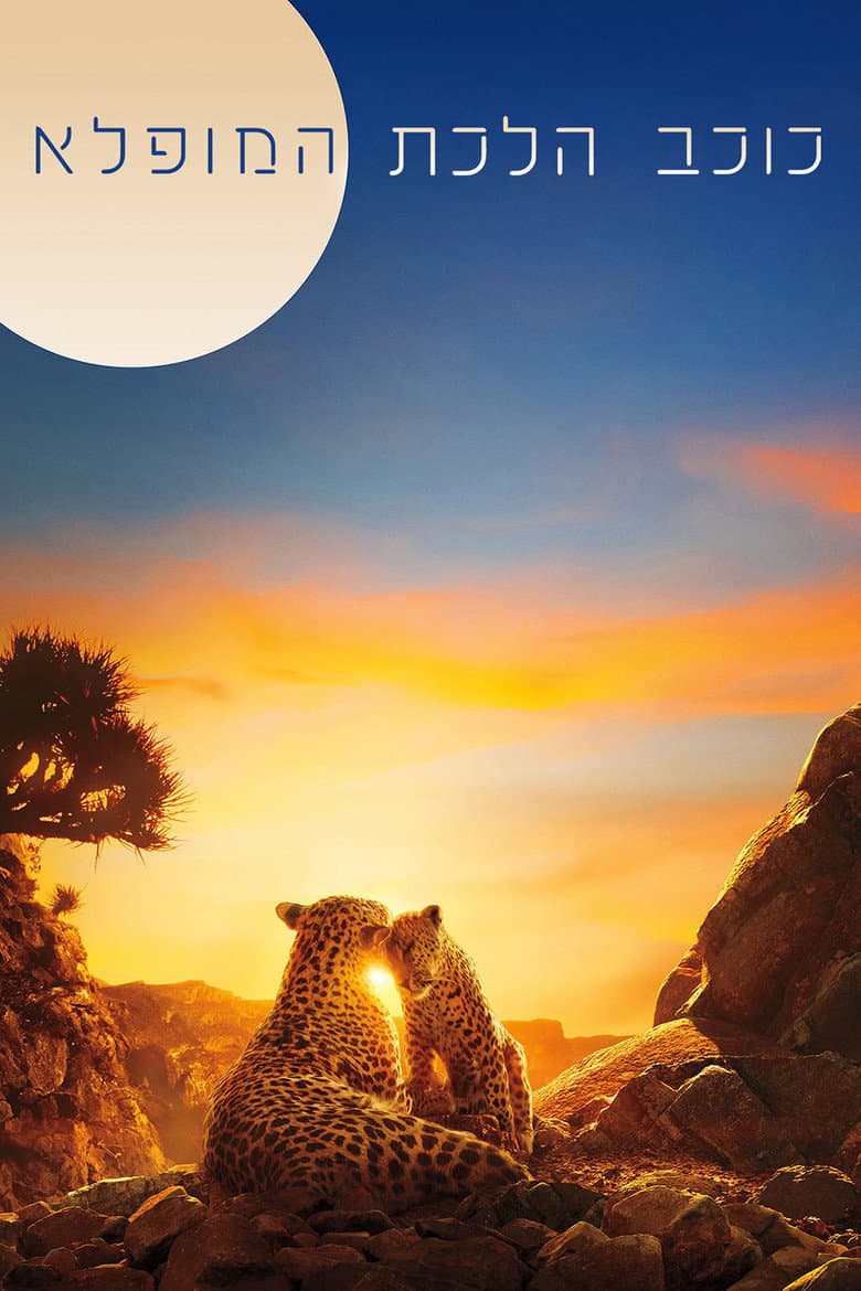 Ảnh poster
