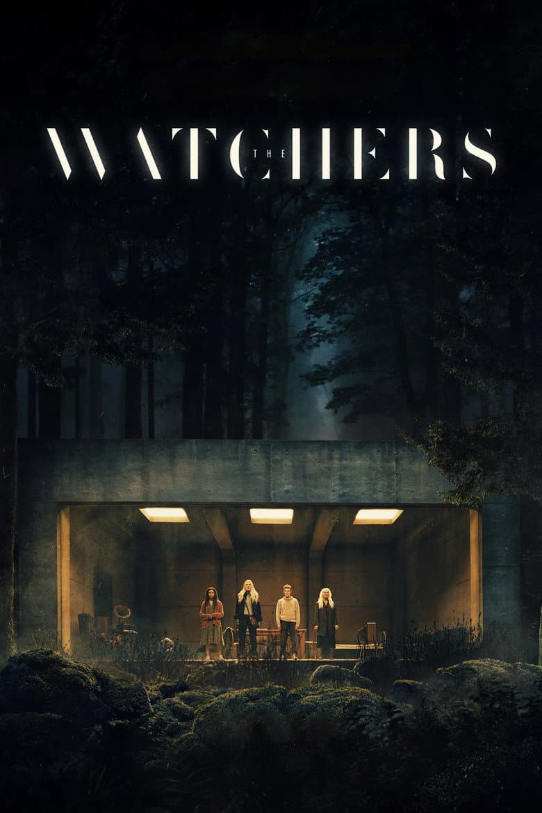 Ảnh poster