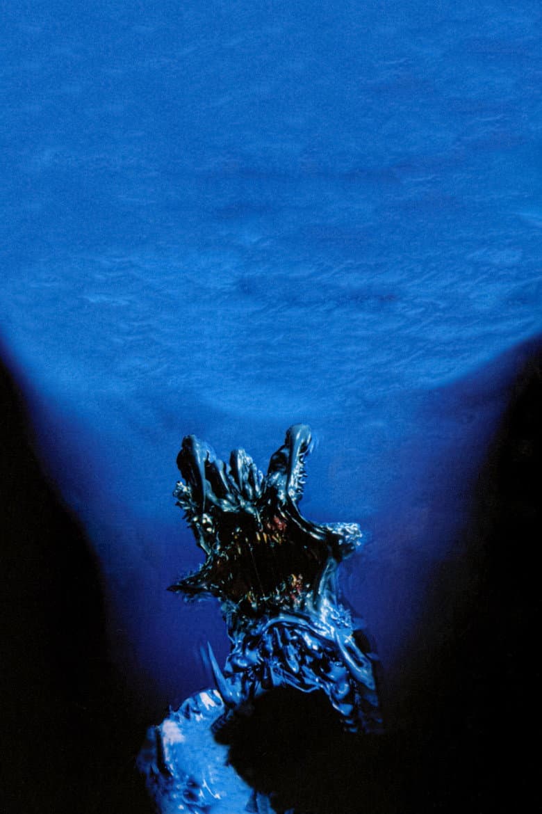 Ảnh poster