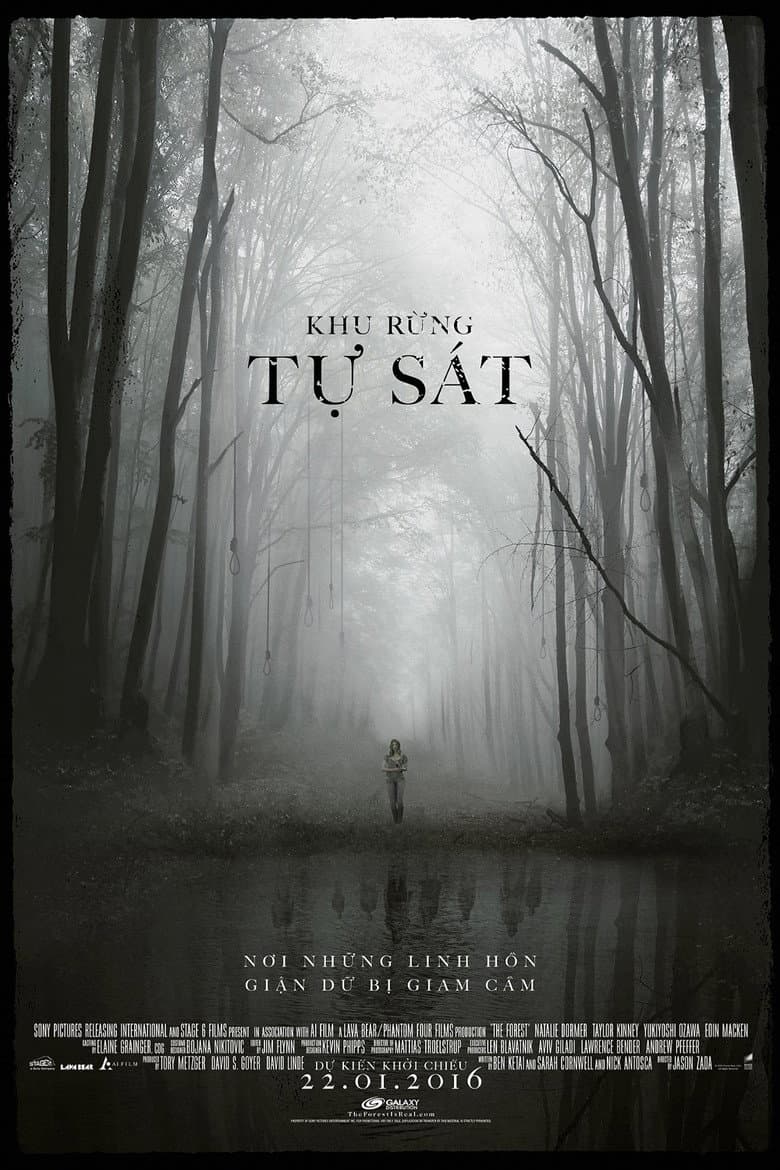 Ảnh poster