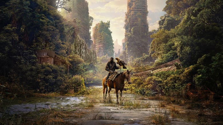 Ảnh backdrop