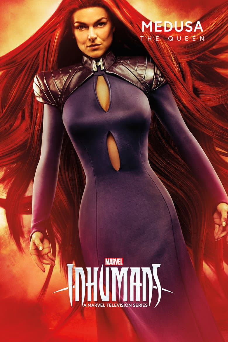 Ảnh poster
