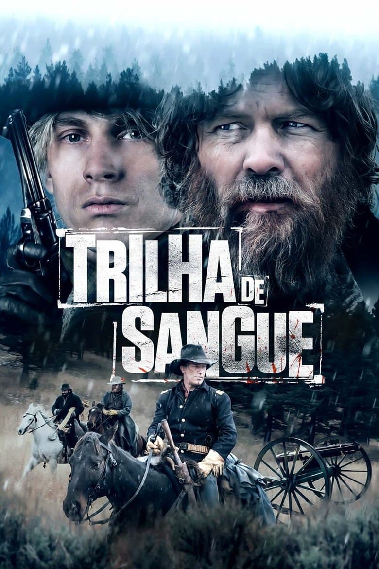 Ảnh poster