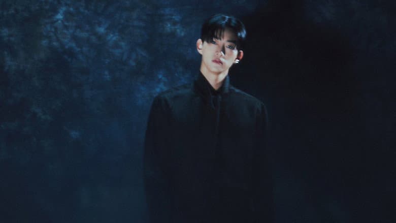 Ảnh backdrop