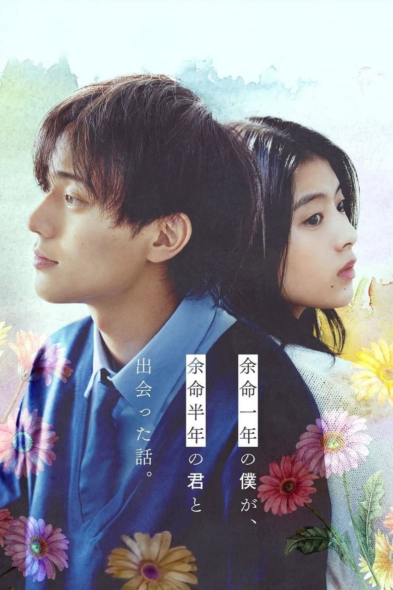 Ảnh poster