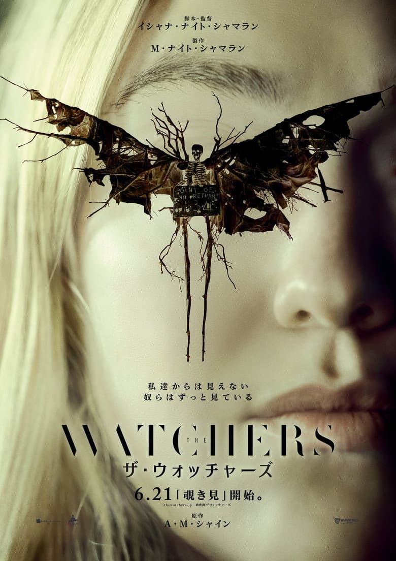 Ảnh poster
