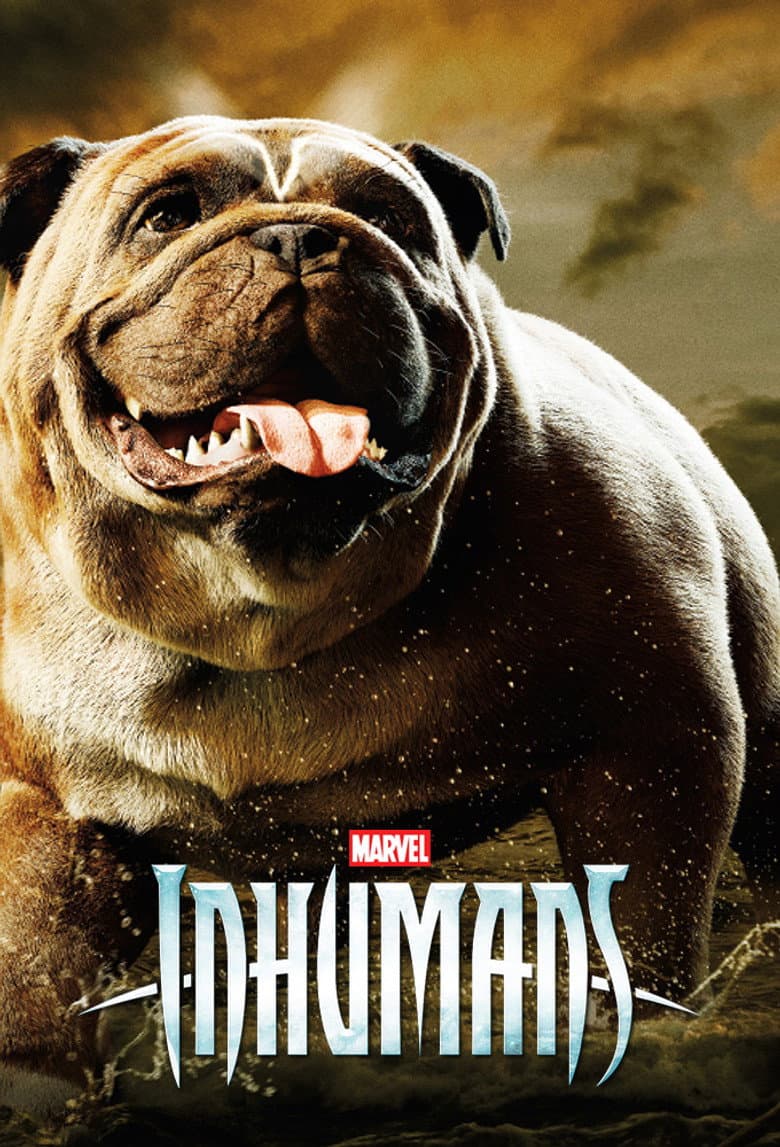 Ảnh poster