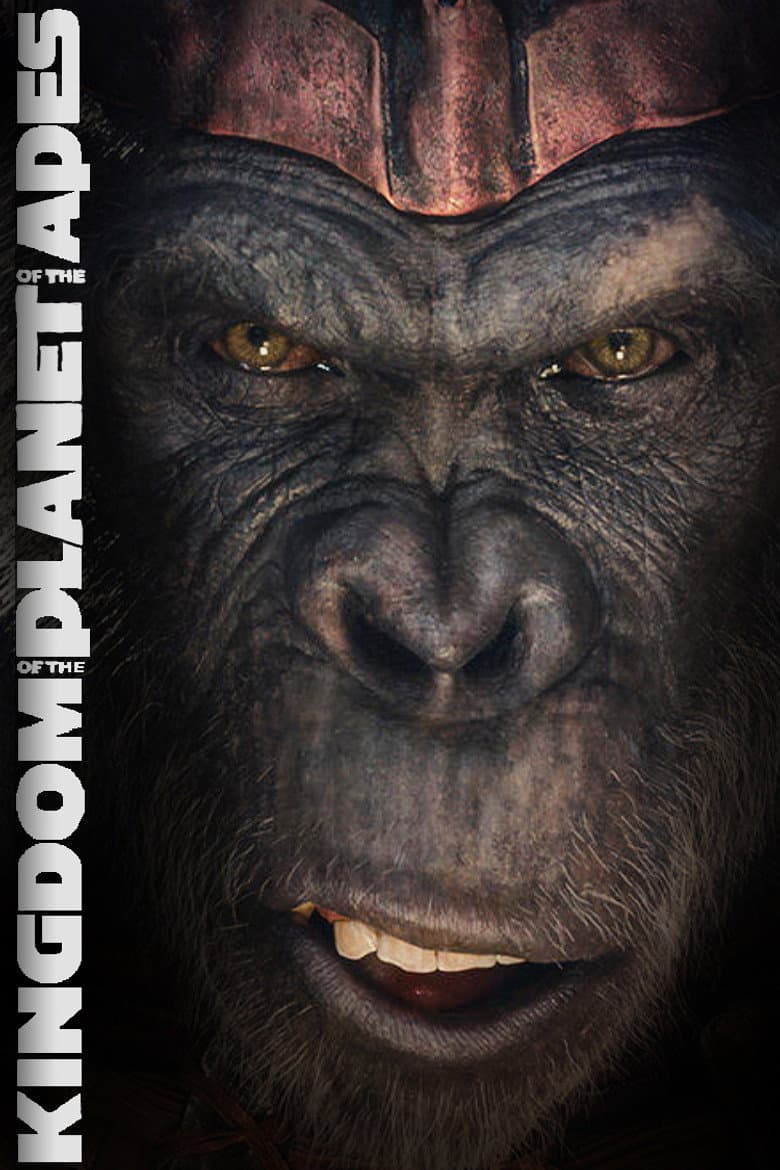 Ảnh poster