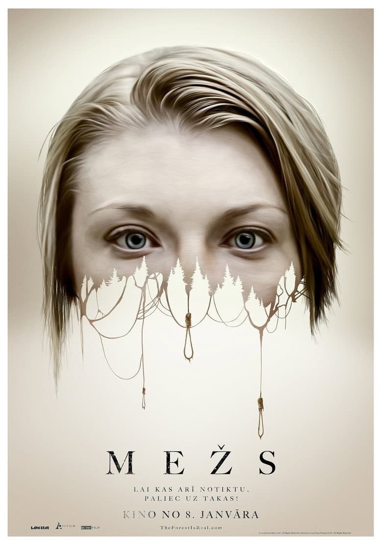 Ảnh poster
