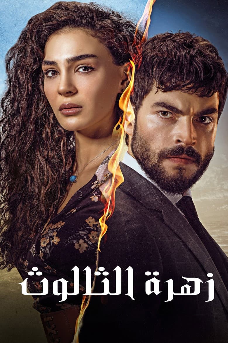 Ảnh poster