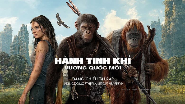 Ảnh backdrop