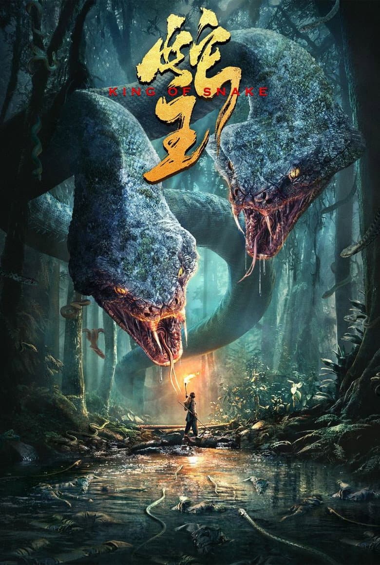 Ảnh poster