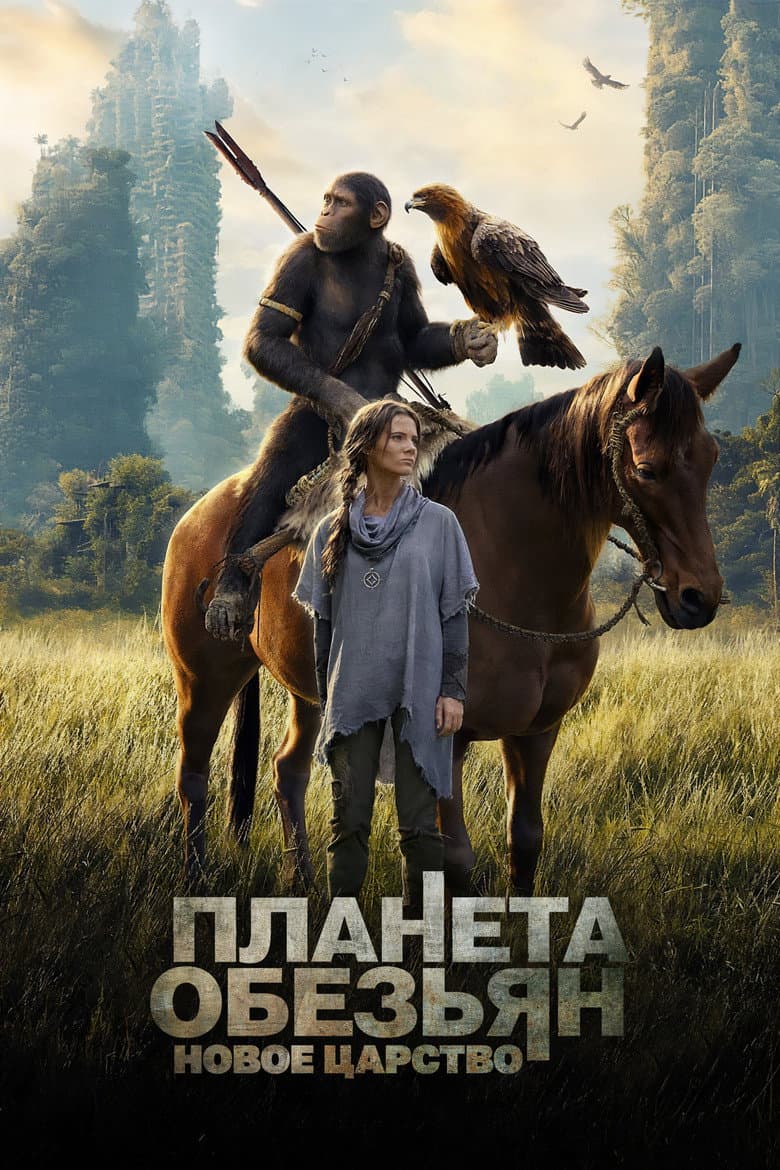 Ảnh poster