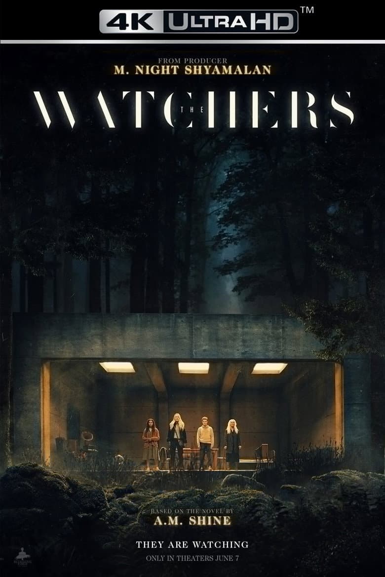 Ảnh poster