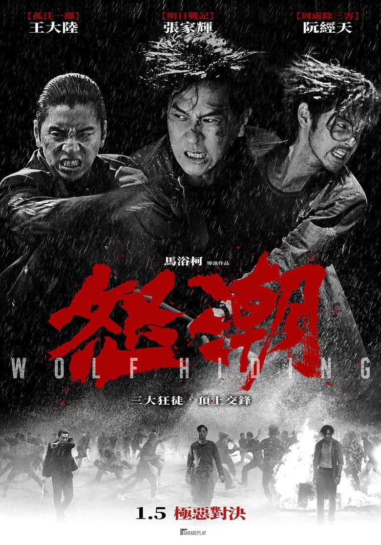 Ảnh poster
