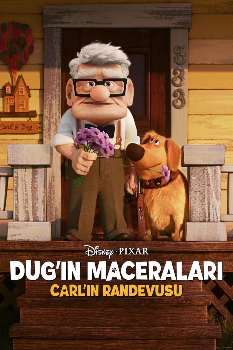 Ảnh poster