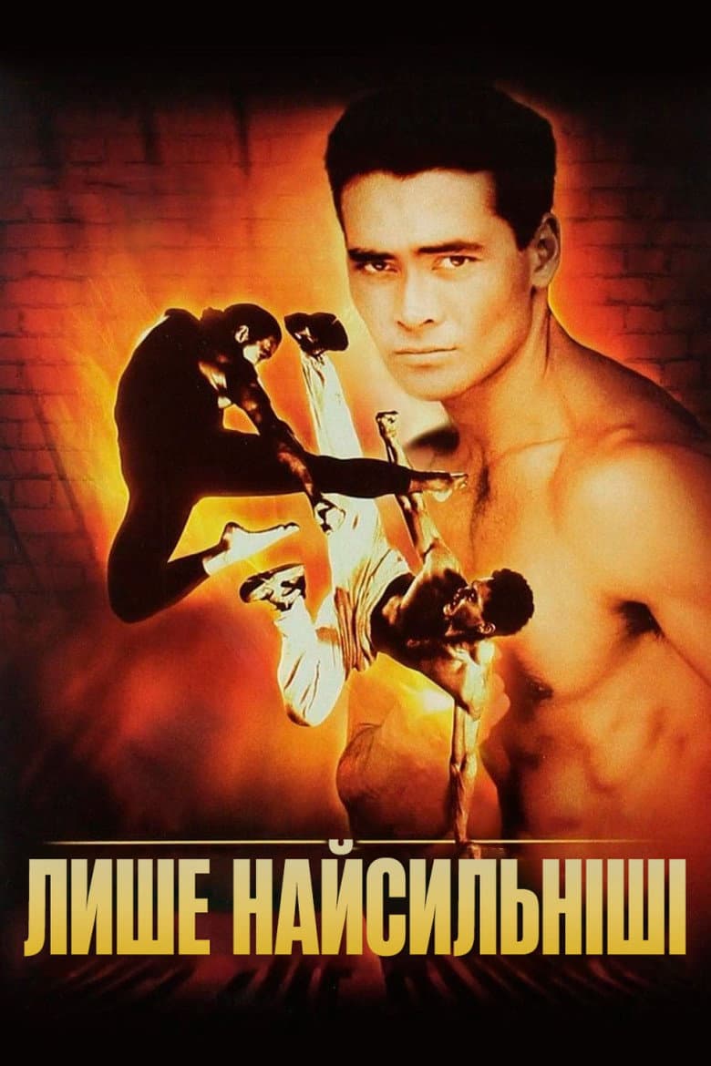 Ảnh poster