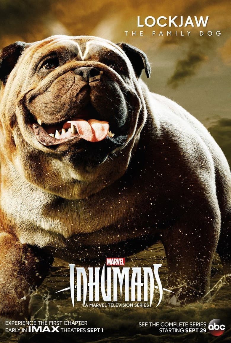 Ảnh poster