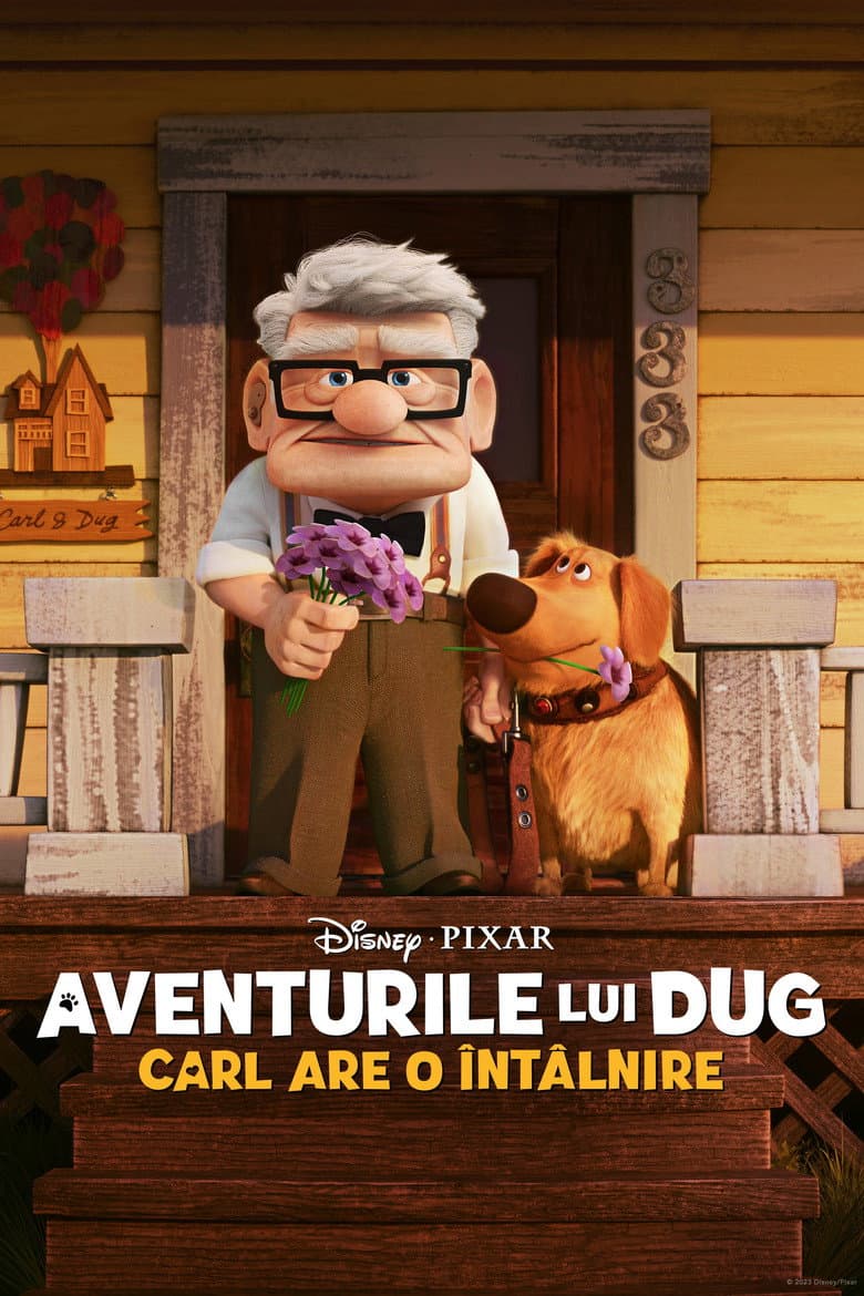 Ảnh poster