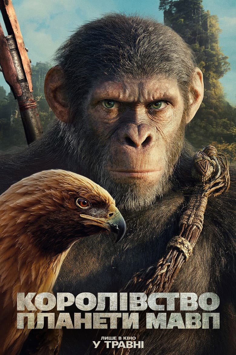 Ảnh poster