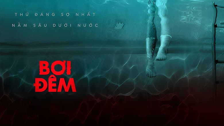 Ảnh backdrop