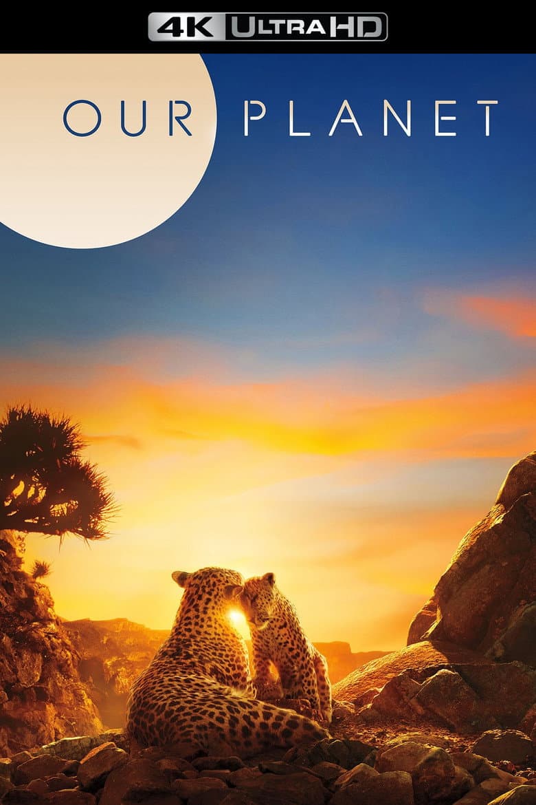 Ảnh poster