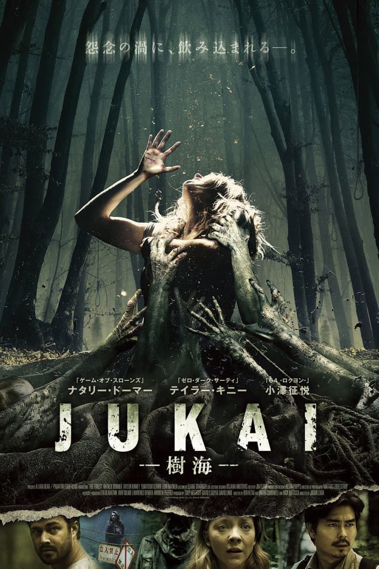Ảnh poster