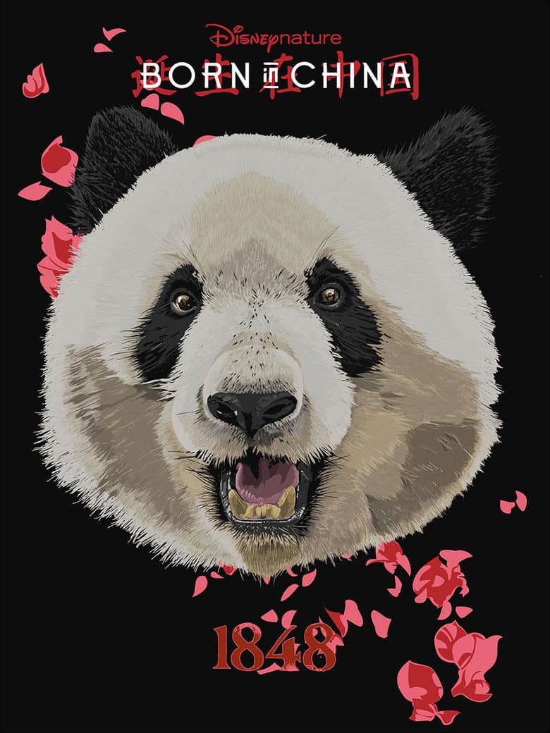 Ảnh poster
